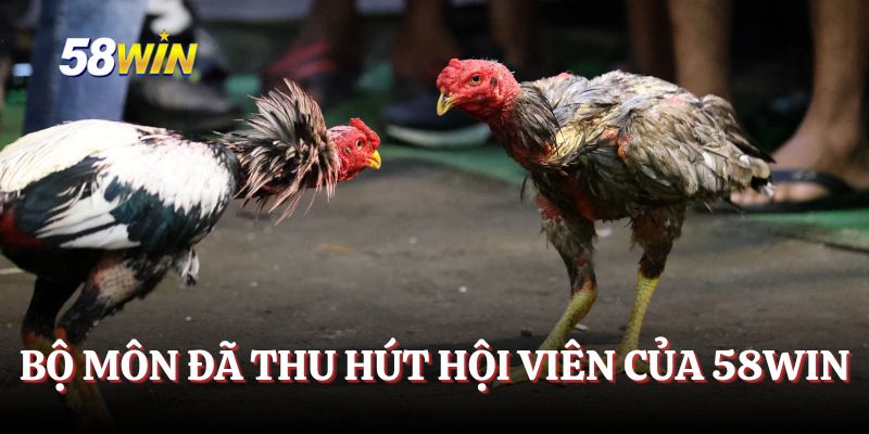 Bộ môn đã thu hút vô số hội viên của 58WIN
