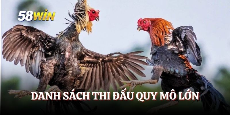 Danh sách thi đấu quy mô lớn