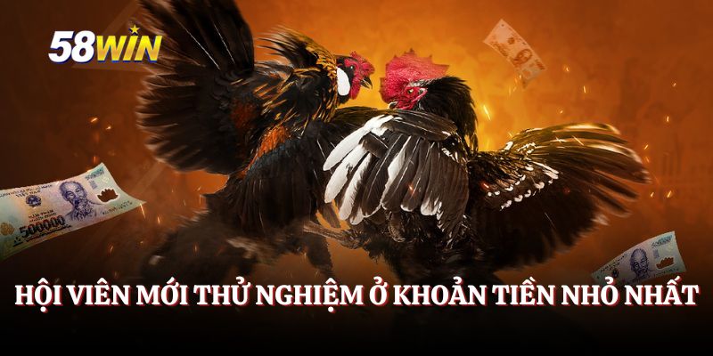 Hội viên mới thử nghiệm ở khoản tiền nhỏ nhất