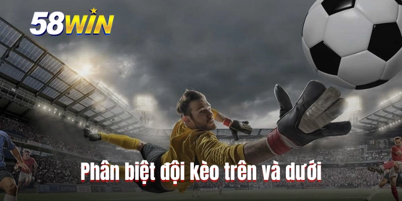 Phân biệt đội kèo trên và dưới