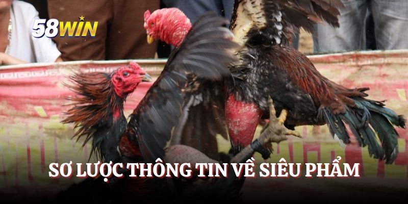 Sơ lược thông tin về siêu phẩm